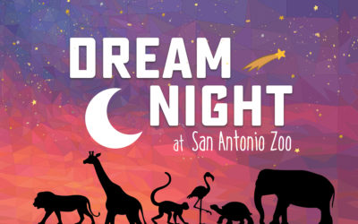 San Antonio Zoo Brings Annual Dream Night to Pediatric Patients in San Antonio