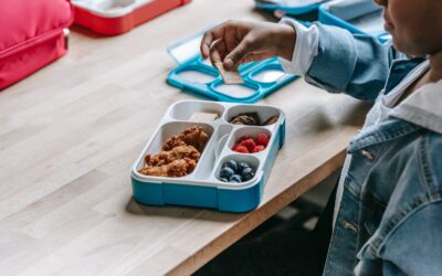 Healthy Lunch Tips for Kids at School Blog