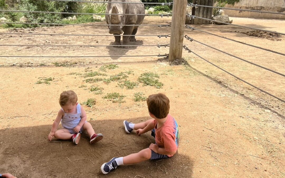 10 Reasons Why San Antonio Zoo is the Perfect Summer Destination for Families