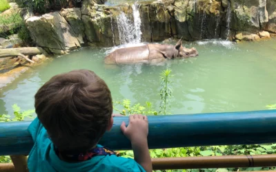 Explore the San Antonio Zoo